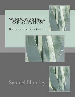 Book cover for Windows Stack Exploitation