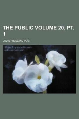 Cover of The Public Volume 20, PT. 1