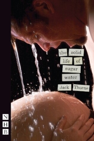 Cover of The Solid Life of Sugar Water