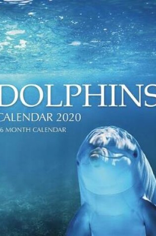 Cover of Dolphins Calendar 2020