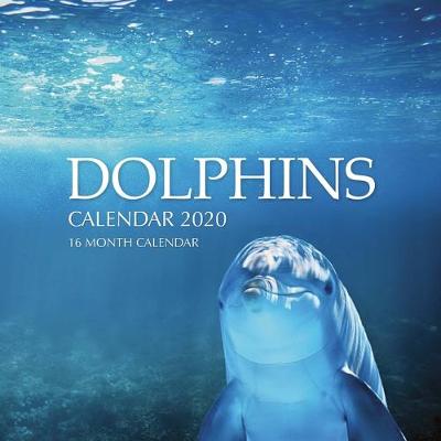 Book cover for Dolphins Calendar 2020