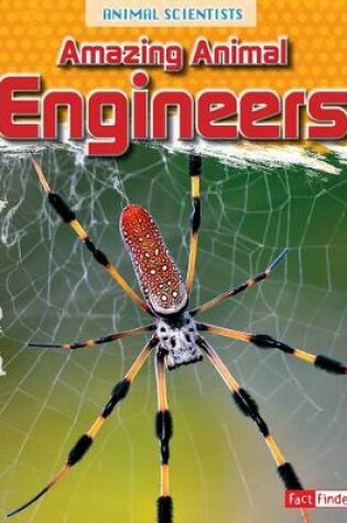 Cover of Engineers