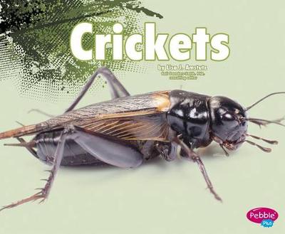 Cover of Crickets