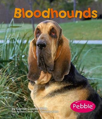 Book cover for Bloodhounds