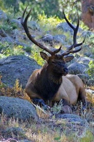 Cover of Bull Elk on the Lateral Moraine Journal