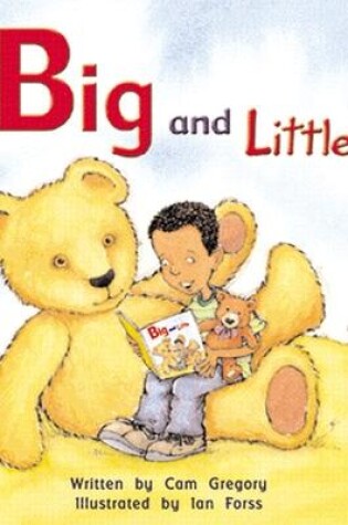 Cover of Big and Little (1)