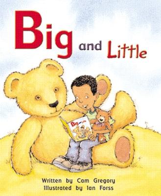 Book cover for Big and Little (1)