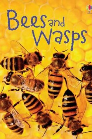 Cover of Bees and Wasps