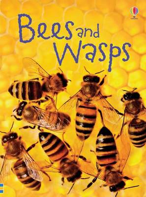 Book cover for Bees and Wasps