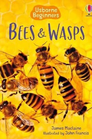 Cover of Bees and Wasps