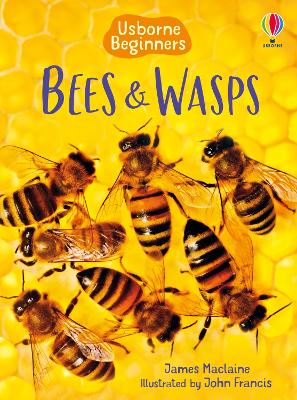 Cover of Bees and Wasps