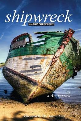 Book cover for Shipwreck