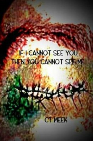 Cover of If I Cannot See You Then You Cannot See Me