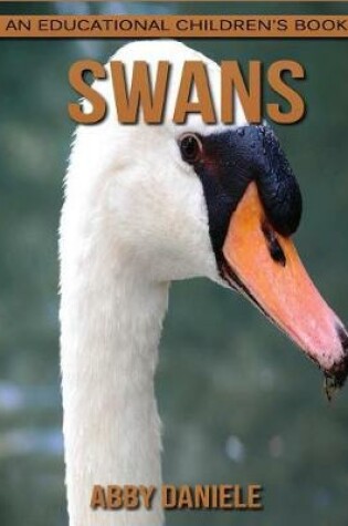 Cover of Swans! An Educational Children's Book about Swans with Fun Facts & Photos