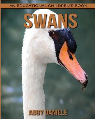 Book cover for Swans! An Educational Children's Book about Swans with Fun Facts & Photos