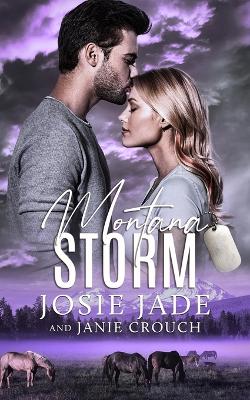 Book cover for Montana Storm
