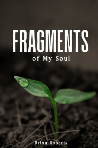 Cover of Fragments of My Soul