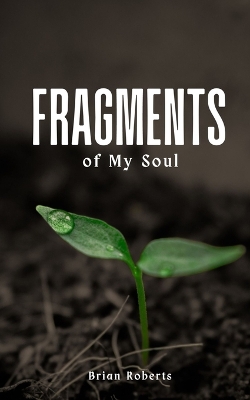 Book cover for Fragments of My Soul