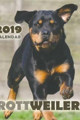Cover of Rottweiler 2019 Calendar