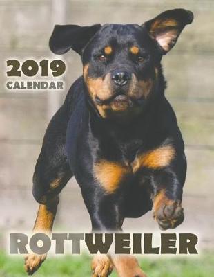 Book cover for Rottweiler 2019 Calendar