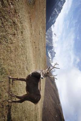 Book cover for Caribou in Alaska