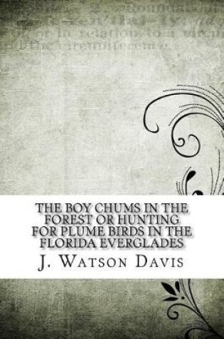 Cover of The Boy Chums in the Forest or Hunting for Plume Birds in the Florida Everglades