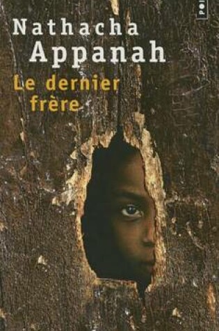 Cover of Le dernier frere