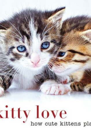Cover of Kitty Love