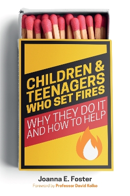 Book cover for Children and Teenagers Who Set Fires