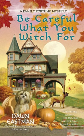 Book cover for Be Careful What You Witch For