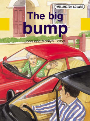 Book cover for Wellington Square Assessment Kit - The Big Bump