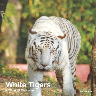 Book cover for White Tigers