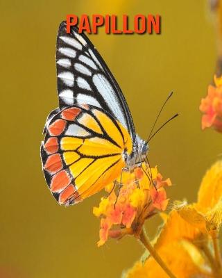 Book cover for Papillon