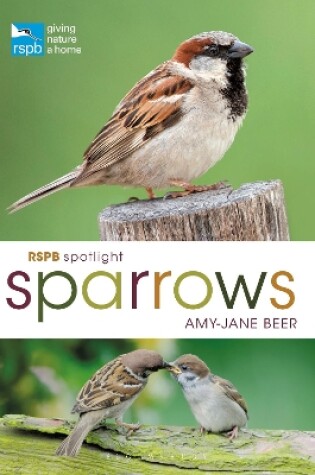 Cover of RSPB Spotlight Sparrows