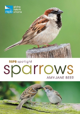 Book cover for RSPB Spotlight Sparrows