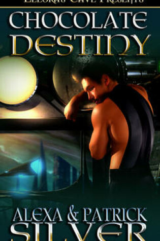 Cover of Chocolate Destiny