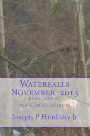 Cover of Waterfalls November 2013