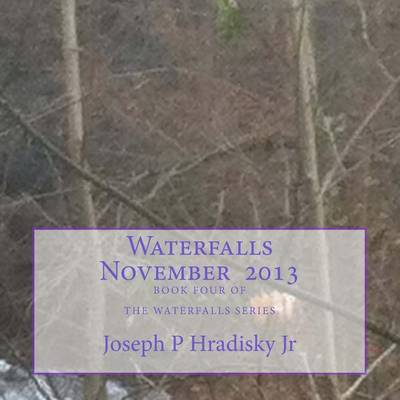 Book cover for Waterfalls November 2013