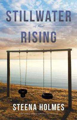 Book cover for Stillwater Rising