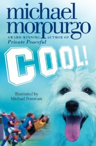 Cover of Cool!