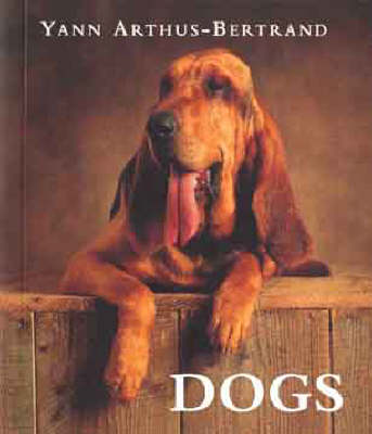 Book cover for Dogs