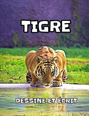 Book cover for Tigre