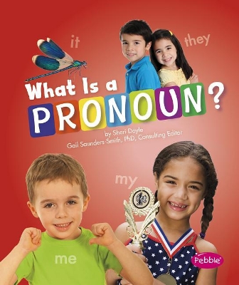 Book cover for What Is a Pronoun?