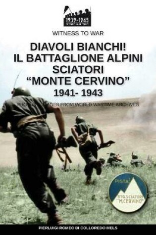 Cover of Diavoli bianchi! Il battaglione Alpini Sciatori Monte Cervino 1941-1943