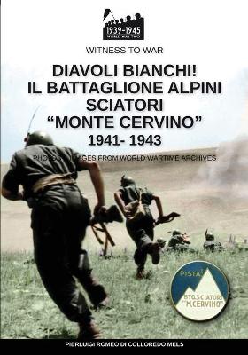 Book cover for Diavoli bianchi! Il battaglione Alpini Sciatori Monte Cervino 1941-1943