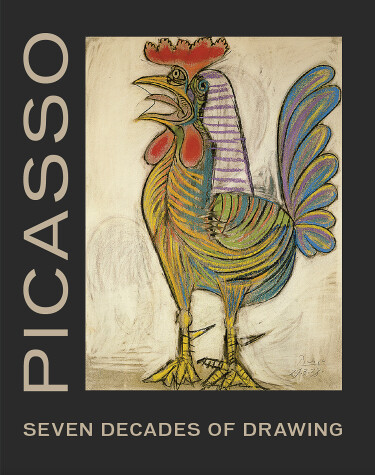 Book cover for Picasso: Seven Decades of Drawing