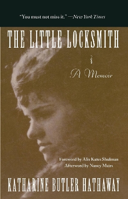 Book cover for The Little Locksmith