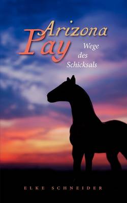 Book cover for Arizona Pay