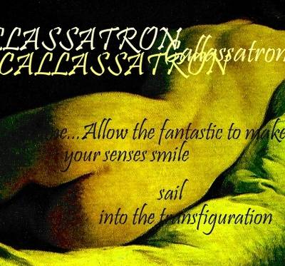Book cover for Callassatron
