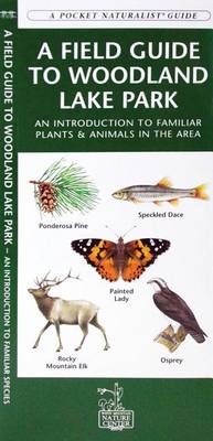 Book cover for A Field Guide to Woodland Lake Park